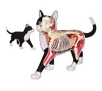 BACALYSO | 4D VISION Black and White Cat, Tea Tiger, Cat Figure, 11.8 inches (30 cm) Class, Plastic Model, Dissection, Built-In Skeleton, Assembly, Model, Decomposable, Simulation, Animal, Cat Loves