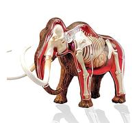 BACALYSO | 4D VISION Kenaga Mammoth Realistic Figure, 3D Puzzle, Animal Anatomy, 10.6 inches (27 cm) Class, Mammoth, Extinct Species, Prehistoric Animals, Plastic Model, Dissection, Built-In Skeleton