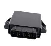 Baceyong CDI Ignition Controller Module Box 4010951 Compatible with Polaris Sportsman 600 700 Twin 2004-2005 Browning EFI 2006 Plastic and Metal 4011017