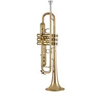 Bach 17043GY Bb-Trumpet