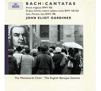 Johann Sebastian Bach Canatatas - Bach (CD) Album (US IMPORT)