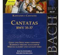 Bach: Cantatas, BWV 35-37 (Edition Bachakademie Vol 12) /Rilling
