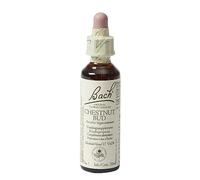 Bach Chestnut Bud/Chestnut Button, 20 Ml, 1 Unit