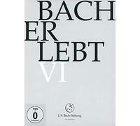 Bach Erlebt VI