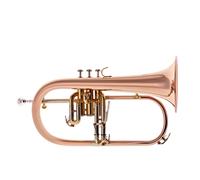 Bach FH501 Student Flugel Horn Outfit