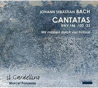 BACH/IL GARDELLINO/PONSEELE - Johann Sebastian Bach: Cantatas BWV 146, 103, 33