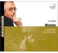 Bach Johann Sebastia - Bach: Motets BWV 225 - 230 /Herreweghe