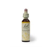 Bach Original Flower Remedies Bach Original Flower Remedies Scleranthus 20ml