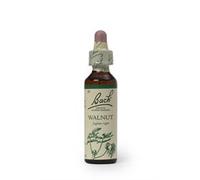 Bach Original Flower Remedies Bach Original Flower Remedies Walnut 20ml