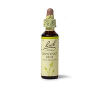 Bach Flower Chestnut Bud, 20ml
