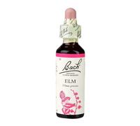 Bach Original Flower Remedies Elm 20ml (order 130 for Trade Outer)