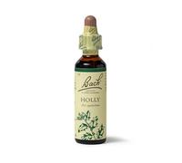 Bach Original Flower Remedies (Holly) Stand Your Ground, Goodwill Towards Others, Emotional Wellness, Natural Flower Essence, 20ml