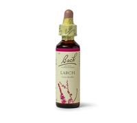 Bach Original Flower Remedies Larch 20ml (order 130 for Trade Outer)