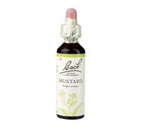 Bach Original Flower Remedy Mustard – Natural Flower Essence – 20 ml