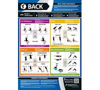 Back Exercise | Full Workout Improves Strength Training | Laminated Gym and Home Poster | Includes Online Video Training Support | Size - 594mm x 420mm (A2) | Improves Personal Fitness