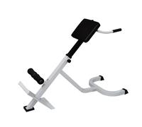 Back Extension Trainer Bench Roman Chair Fitness Exercise Folding Design vidaXL