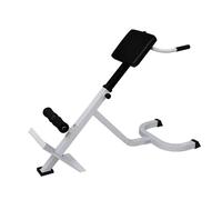Back Extension Trainer Bench Roman Chair Fitness Exercise Folding Design vidaXL