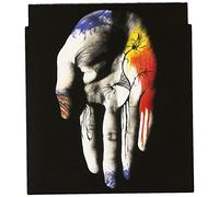 Back Horn, the - Mirai