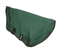 Back on Track BOT Royal Mesh Neck Cover Deluxe 75 Green