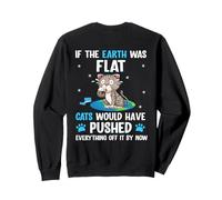 Back print if the earth was flat cats pushed everything off Sweatshirt