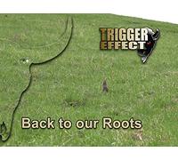 Back to our Roots