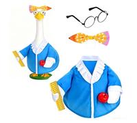 Back to School Porch Goose Outfits School Teacher Goose Outfit Clothes