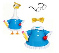 Back to School Porch Goose Outfits School Teacher Goose Outfit Clothes