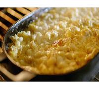 Back to the Beginning: Part 2