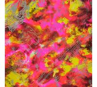 Back to the Planet - Messages After the Bleep