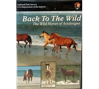 Back to the Wild: The Wild Horses of Assateague