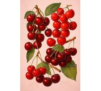 BACK TO VINTAGE Cherries - A5 A4 A3 Fruit and Vegetable Poster Wall Art Featuring Colorful Produce Illustration for Kitchen or Dining Decor (A4 (297x210mm), High-resolution paper)