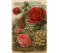 BACK TO VINTAGE COTTAGE ROSE GARDEN - A5 A4 A3 Retro Advertising Sign Poster with Flower Illustrations and Botanical Descriptions for Wall Decoration (A3 (420x297mm), High-resolution paper)