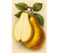 BACK TO VINTAGE Pear - A5 A4 A3 Fruit and Vegetable Poster Wall Art Featuring Colorful Produce Illustration for Kitchen or Dining Decor (A4 (297x210mm), High-resolution paper)