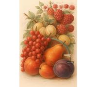 BACK TO VINTAGE Still Life - A5 A4 A3 Fruit and Vegetable Poster Wall Art Featuring Colorful Produce Illustration for Kitchen or Dining Decor (A5 (210x148mm), High-resolution paper)
