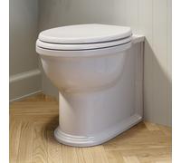 Back to Wall Rimless Toilet and Soft Close Seat - Ripley