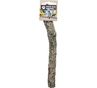 Back Zoo Nature Corky Perch - Small