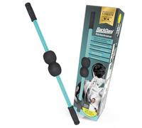 BackDani Spine Training Device for Mobilisation & Rotation | Back Muscle Training for More Mobility & Stability | Ergonomic, Non-Slip Handles, Includes Training Poster Back Dani