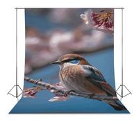 Backdrop Background 56"x118" for Photography, High Density Polyester Fabric Background Banner Seamless Photo Booth Prop Backdrop for Birthday Party Decor A Little Bird Photoshoot Banner Props