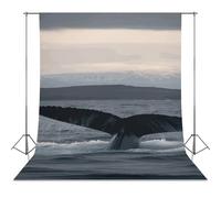 Backdrop Background 56"x118" for Photography, High Density Polyester Fabric Background Banner Seamless Photo Booth Prop Backdrop for Birthday Party Decor Humpback Whale Tail Ocean Photoshoot Banner Pr