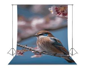 Backdrop Background 56"x118" for Photography, High Density Polyester Fabric Background Banner Seamless Photo Booth Prop Backdrop for Birthday Party Decor A Little Bird Photoshoot Banner Props