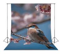 Backdrop Background 56"x98" for Photography, High Density Polyester Fabric Background Banner Seamless Photo Booth Prop Backdrop for Birthday Party Decor A Little Bird Photoshoot Banner Props