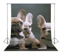 Backdrop Background 56"x98" for Photography, High Density Polyester Fabric Background Banner Seamless Photo Booth Prop Backdrop for Birthday Party Decor French Bulldog Puppies Photoshoot Banner Props
