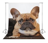 Backdrop Background 56"x98" for Photography, High Density Polyester Fabric Background Banner Seamless Photo Booth Prop Backdrop for Birthday Party Decor Cute French Bulldog Photoshoot Banner Props