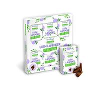 Backflow Incense Cones | Lush Lavender Plant Based | H23.2cm x W21.2cm x D3cm | pack of 1