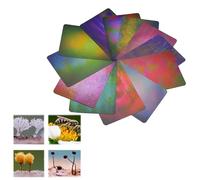 Background Card Set for HD Macro Photography - Set of Premium Studio Backdrops for Close-Up & Product Photography - Nature, Urban, Abstract Themes, 12 Pieces, 21 x 15 cm
