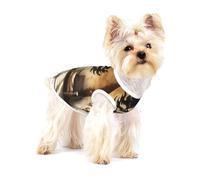 Background of Hell's Fire Premium Dog Tshirt - Soft 100% Cotton Ropa Para Perros, Perfect for Small to Medium Dogs, Stylish and Comfortable Shirts for Dogs M