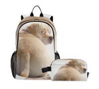 Backpack For Boys With Lunch Box Angry Fat Labrador Retriever Dog 10-12 | School Bag Boy