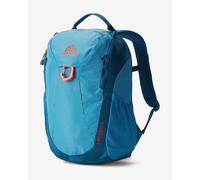 Gregory Wander 8 Junior Backpack Blue Boys,Girls