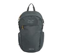 Backpack Regatta Prism 25L Gris TU