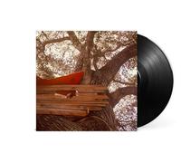 Backseat Lovers - Waiting to Spill [VINYL]